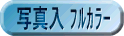 �ʐ^���t���J���[�̂ڂ�A�C�R��